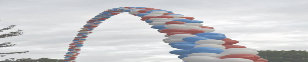 The Balloon Arch Ballon Arch
